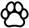 picto chien